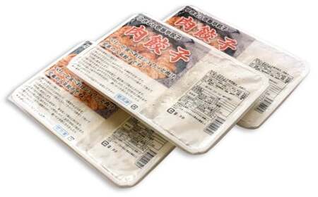 【11ヶ月定期便】ゆきむら壱番亭の肉餃子6パック(96個入り) ※離島への配送不可