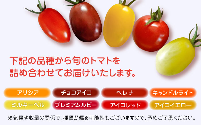 【先行予約】【期間限定】熊本県産 減農薬栽培 トマト ミディトマト 2.5kg 詰め合わせ 食べ比べ【矢仁田農園】[YDE003] 