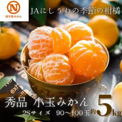 【先行受付】JAにしうわの季節の柑橘(にしうわみかん「秀品2S小玉みかん」約5kg)【C08-73】YWTV030 