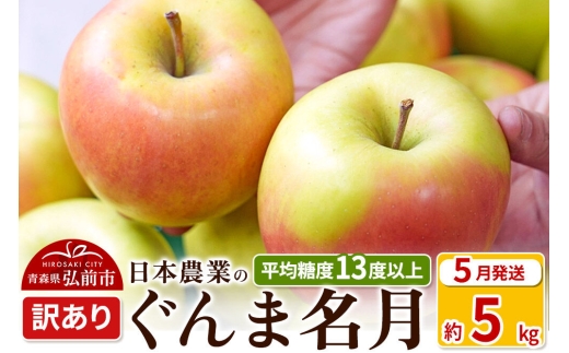 【26年5月クール便発送】りんご 平均糖度13度以上！ぐんま名月 約5kg 訳あり【CA貯蔵】クール便 青森 果物 フルーツ 林檎 リンゴ くだもの 不揃い 規格外 [アップル 果物 産地直送 フルーツ 青森県 弘前市]