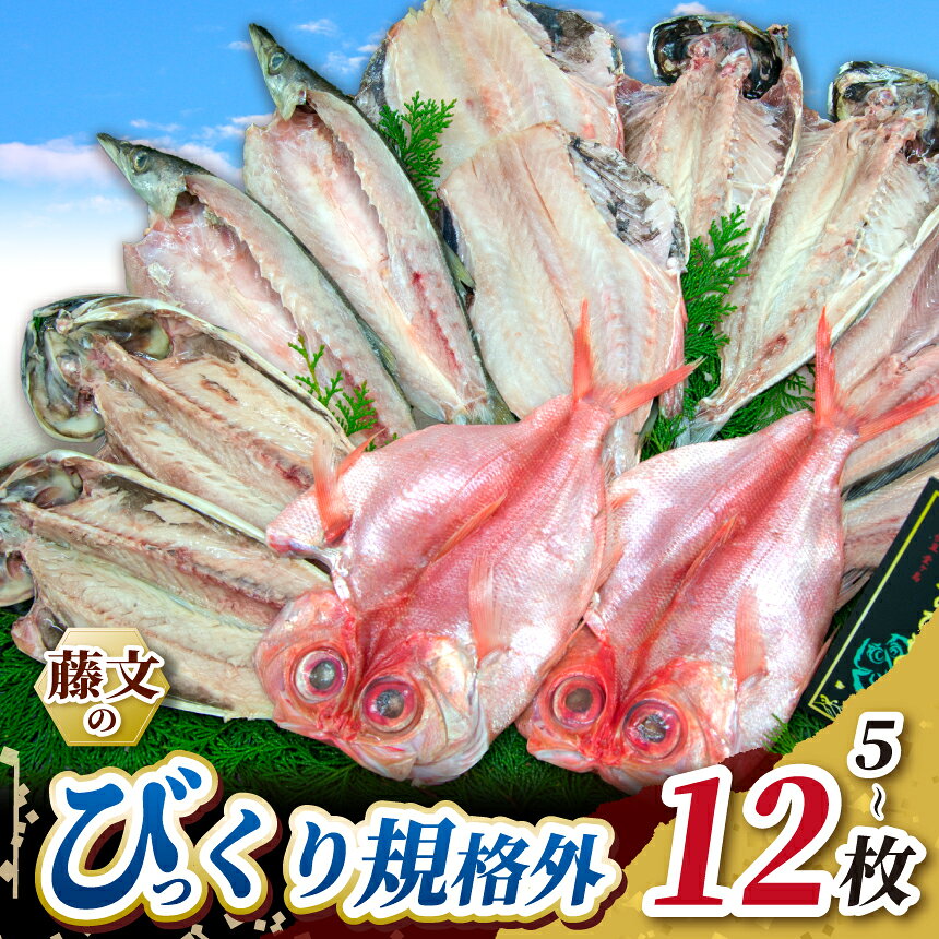 静岡 藤文のびっくり規格外セット