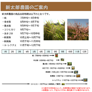 【2026年先行予約】和梨 新高 5kg（5～9玉） 《10月中旬から順次発送》 果物 フルーツ 梨 和梨 デザート 加茂市 新太郎農園