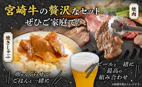 宮崎牛肩ロース焼きしゃぶ300g 宮崎牛ウデ焼肉400g_M132-031