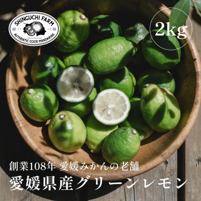 
            ＜防腐剤・ワックス不使用＞愛媛県産グリーンレモン 2kg＜B70-68＞【1615804】
          