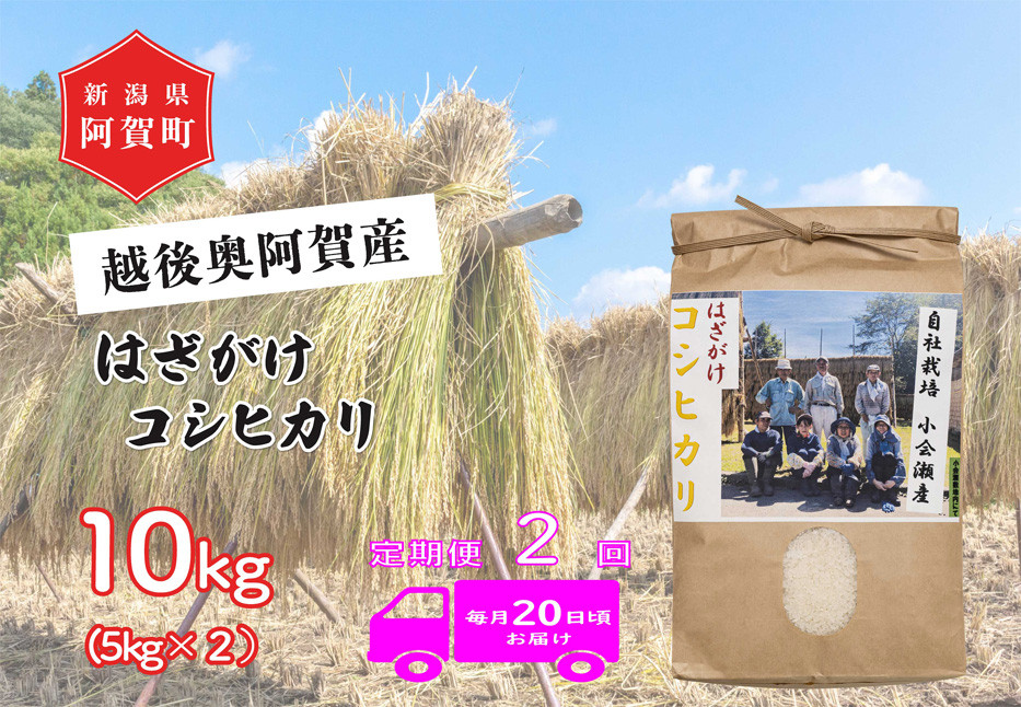 
            《令和6年産米》【定期便】2回　越後奥阿賀産はざがけ（天日干し）コシヒカリ　10kg（5kg×2袋）
          