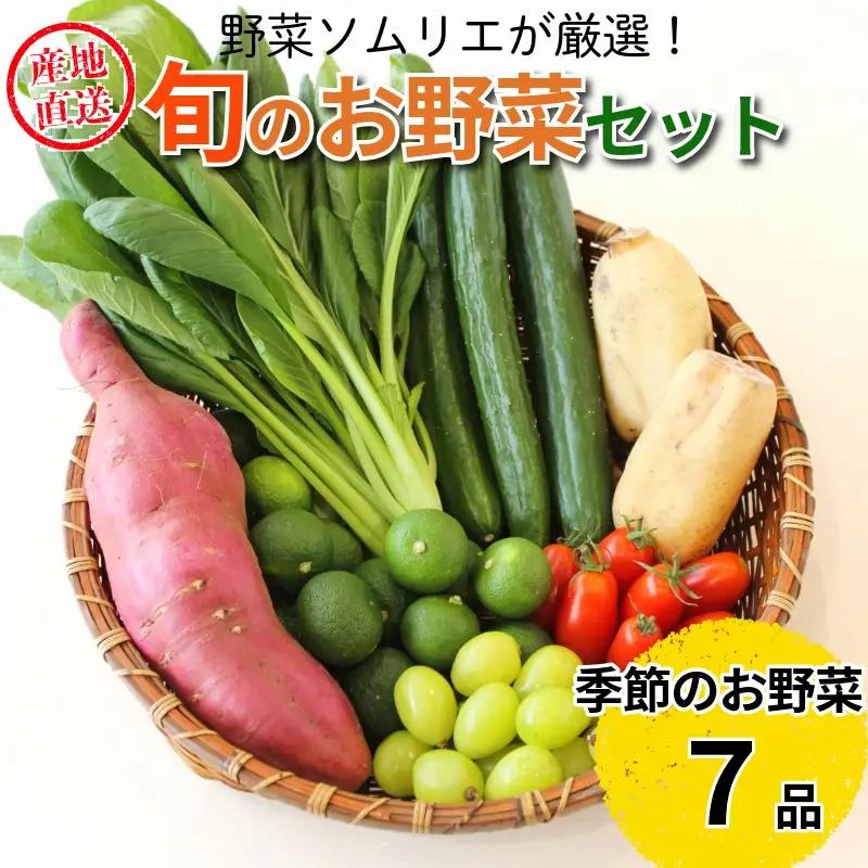 野菜 7種セット 旬の野菜 詰め合わせ おまかせ 新鮮 採れたて 産地直送