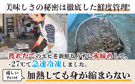 佐賀県有明海産 天然芝海老むき身(加熱用)200g(100g×2袋）｜海老 エビ 剥き 真海老 国産 加熱用 使い切り 水洗い不要 簡単調理 ストック 主婦に最適 佐賀県鹿島市 人気 送料無料　A-2