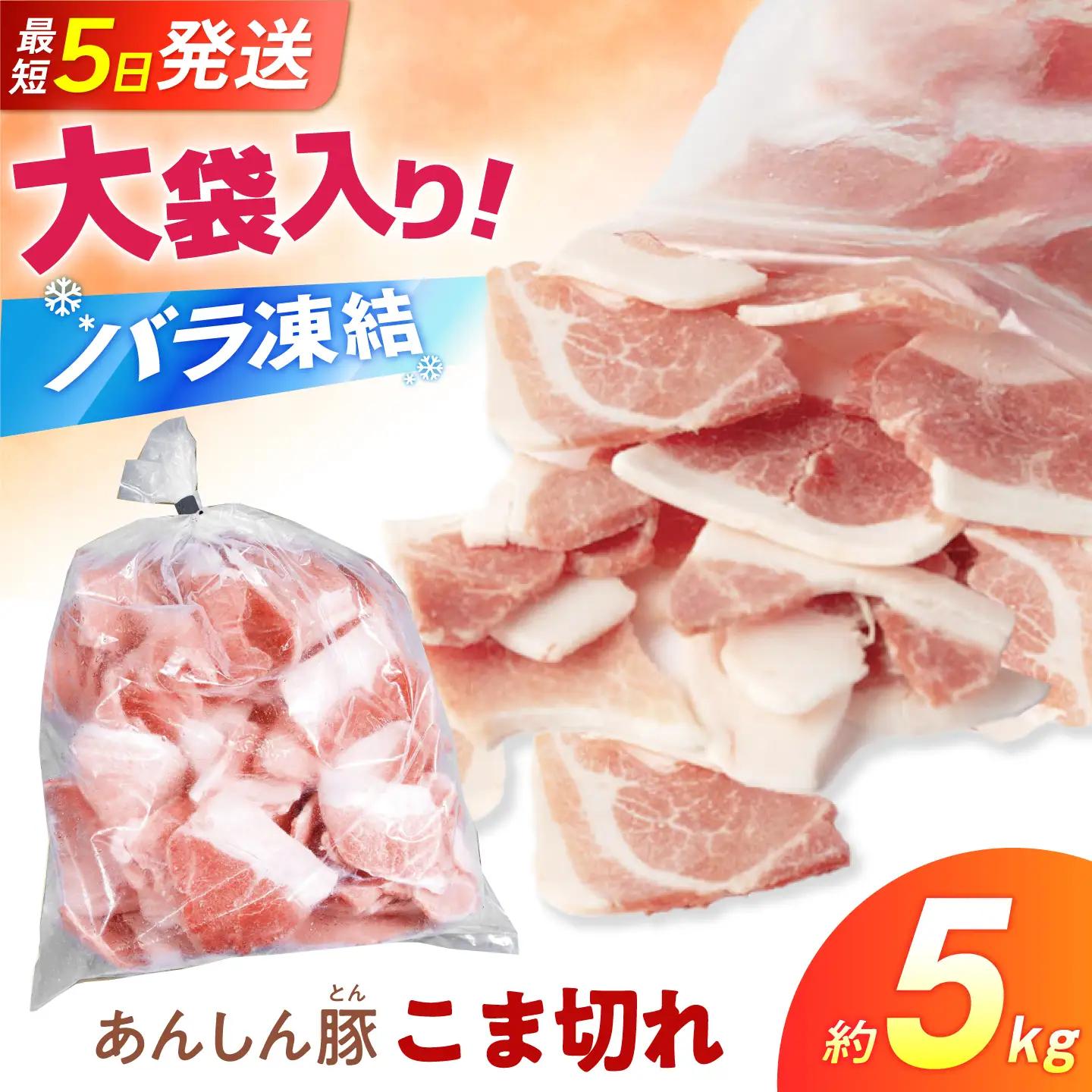 豚肉 こま切れ 計5kg《バラ凍結》藤井ファーム[AWAF100]大容量豚肉