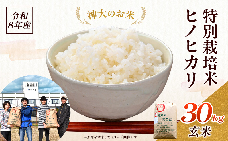 米 令和8年産 神大のおこめ（特別栽培米ヒノヒカリ）玄米30kg お米
