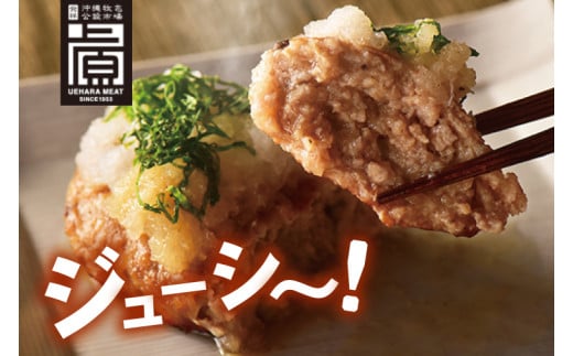 あぐーハンバーグセット(10個入)｜ハンバーグ あぐーハンバーグ あぐー 肉 お肉 豚肉 肉料理 おかず セット 沖縄 おきなわ 豊見城市(AG037)