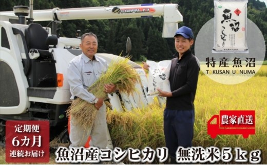 
                  農家直送！ 魚沼産 コシヒカリ 無洗米 5kg 6か月 連続お届け （ 米 定期便 6ヶ月 お米 魚沼産コシヒカリ 魚沼 新潟 魚沼産こしひかり 白米 精米 旨み ビタミンB1 定期 お楽しみ 6回 ）
                