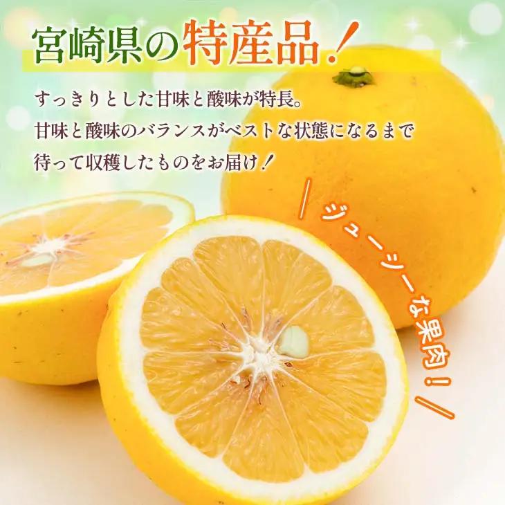 先行予約 酸味と甘味は恋の味 恋する 日向夏 計3kg以上 令和9年発送_AV1-25