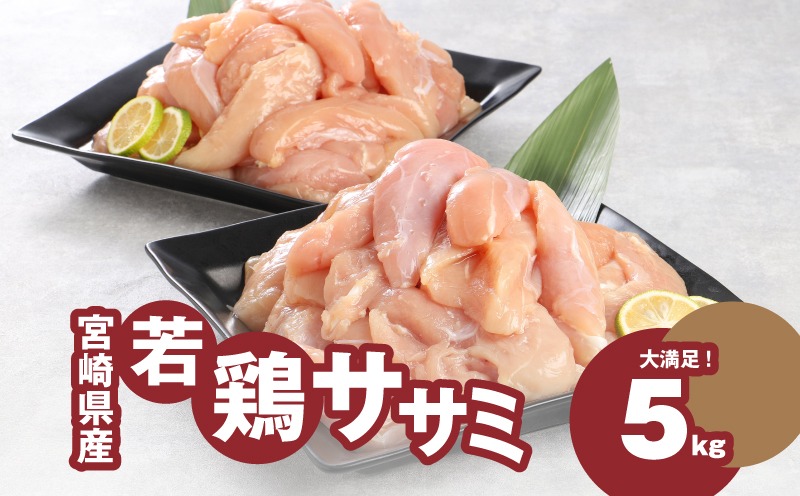 スピード発送!!２週間以内に発送　宮崎県産若鶏ささみ　1kg×5パック　 K16_0045_2