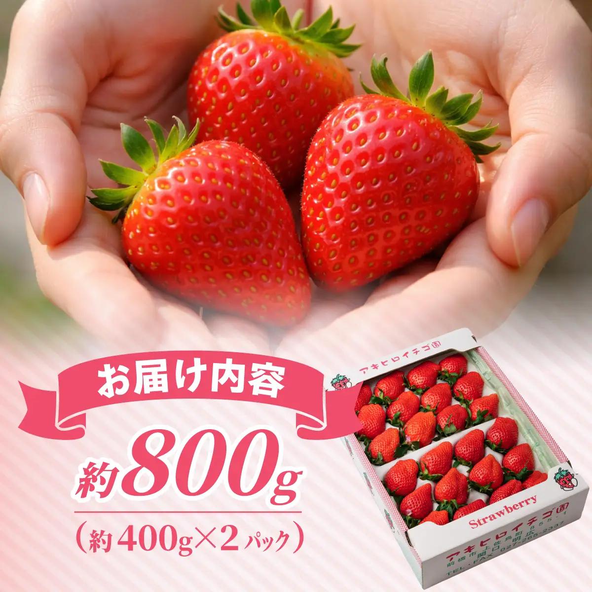いちご やよいひめDX 800g（箱入り）いちご 群馬県 前橋市