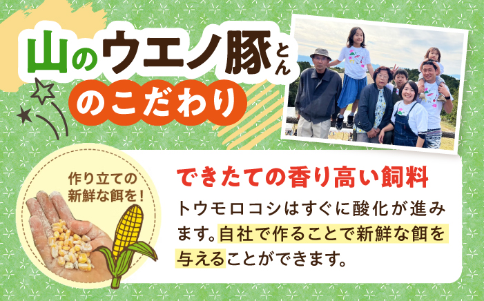 「山のウエノ豚」 豚バラ スライス 1kg（500g×2）/ 豚肉 バラ / 大村市/合同会社肉のマルシン [ACCF004]