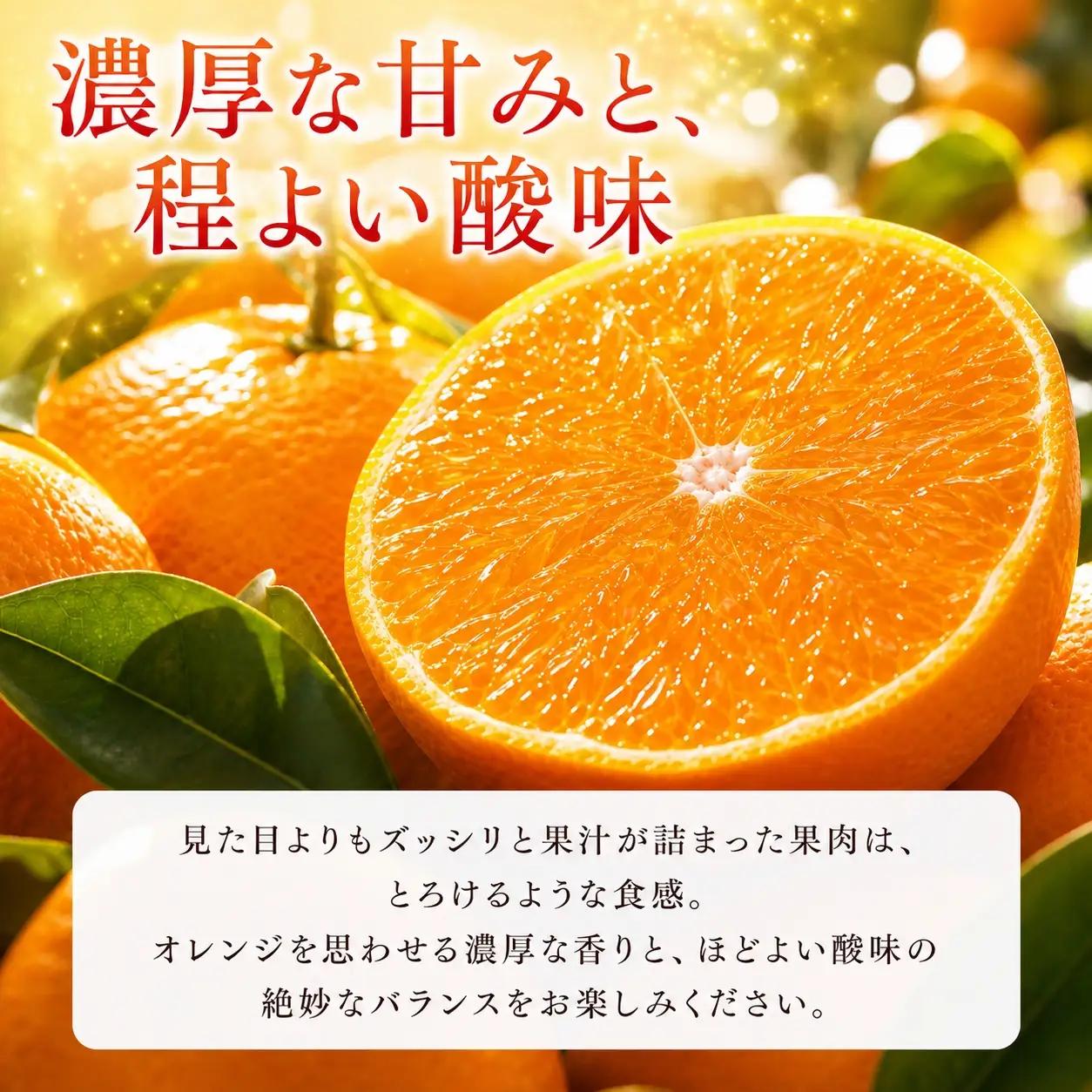 とろける食感！ジューシー柑橘　せとか　約3kg【予約】【2027年2月下旬頃〜3月中旬頃発送(お届け日指定不可)】【Z-uot816A】