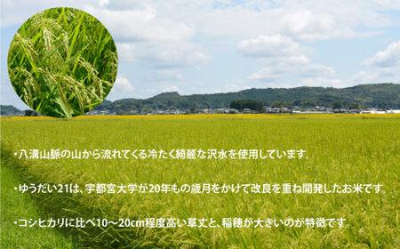 TVでも話題のお米 ゆうだい21 ＼令和7年産／【数量限定】あい　farm　やなぎのお米　令和7年産 ゆうだい21 玄米 5kg | 栃木県 益子町 ふるさと納税 お米 米 5kg 玄米 (DQ008