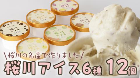 【生産者支援】桜川アイス 6種 12個 セット 数量限定 食べ比べ 90ml×6種類 桜川市のこだわり素材を使用 アイス あいす デザート スイーツ 産地限定 おやつ カップ [SC041sa]