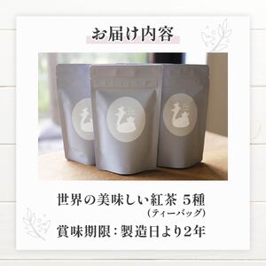 紅茶 ティーバッグ 5種 セット (3.5g×8個) フレーバーティー セット 紅茶ティーバッグ 紅茶飲料 紅茶ギフト 紅茶専門店 世界の紅茶 京都 木津川