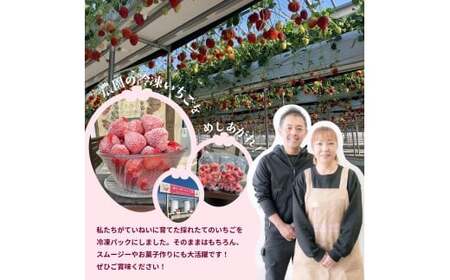 やよいひめ 冷凍いちご 2kg いちご やよいひめ