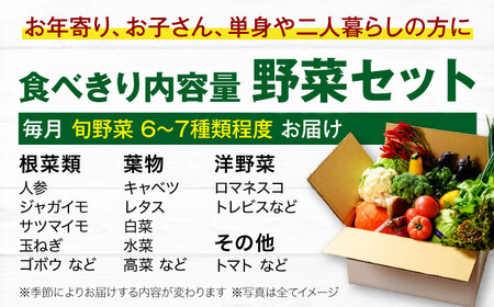 【全6回定期便】 【シェフの目線】　野菜 （6-7種）　少量食べきりセット　 野菜 やさい 少量セット 食べきり[AGBX045]