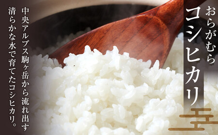 【予約受付】【令和７年米】長野県宮田村産 コシヒカリ 精米 18kg・38,000円／令和８年5月配送 [ コシヒカリ ]