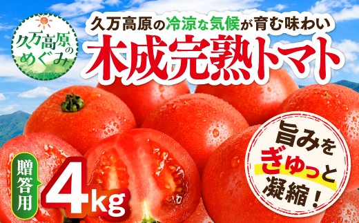 【贈答用】木成り完熟トマト 4kg｜愛媛県久万高原町産 特別栽培 産地直送 旬 夏野菜 甘み 旨み 完熟トマト 新鮮 採れたて ※2026年7月～発送