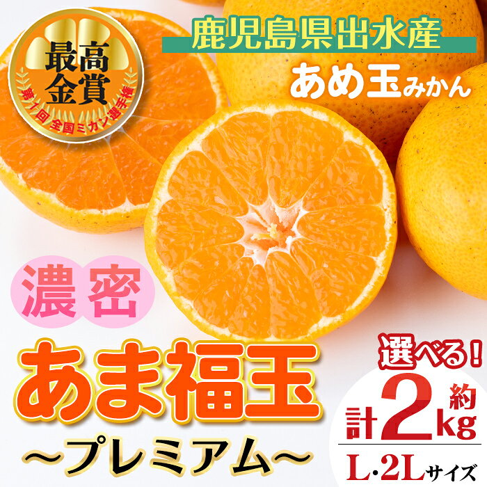 【ふるさと納税】＜先行予約受付中！2026年11月中旬～2027年1月下旬の間に発送予定＞【特別栽培・最高金賞】あめ玉みかん・大玉サイズ《選べるサイズ》あま福玉 ～プレミアム～(約2kg / L・2L) ミカン 果物 ギフト プレゼント 贈答用 贈り物【Farmer friends Marche】