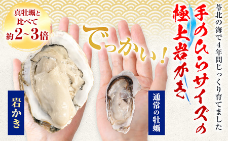 岩かき 1.5kg かき浜崎水産 牡蠣 生食