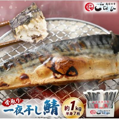 ふるさと納税 越前町 【のし付】鯖の一夜干し 約1kg(半身7切)網元漁師「福丸」厳選干物!