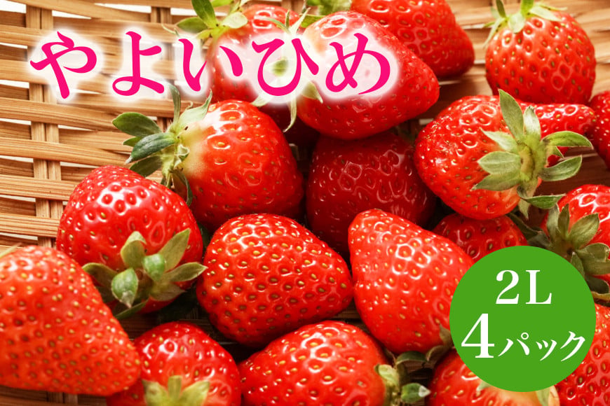 
            やよいひめ 2L いちご イチゴ 苺 17粒 4パック 1kg 以上 国産 果物 フルーツ くだもの 1月 2月 3月 発送 冬 旬 産地直送 農家直送 産直 甘い デザート スイーツ 家庭用 贈答 贈答用 茨城 茨城県 石岡市 (A13-006)
          