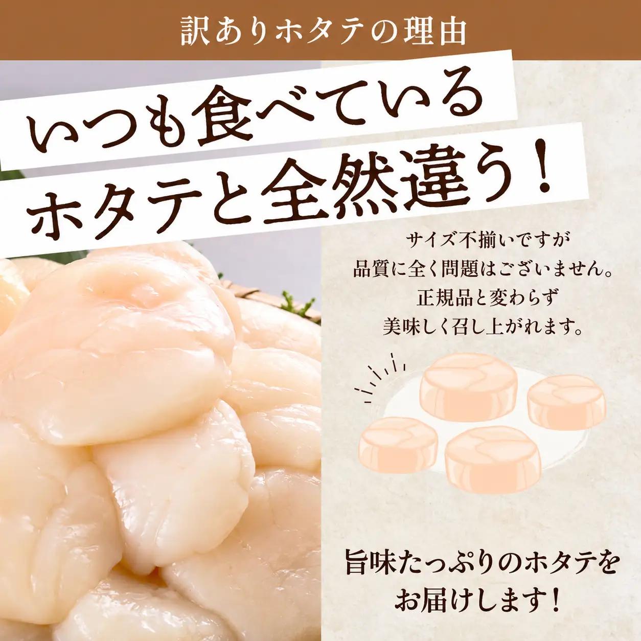 【訳あり】ホタテ貝柱 500g x 1ホタテ 【AF】
