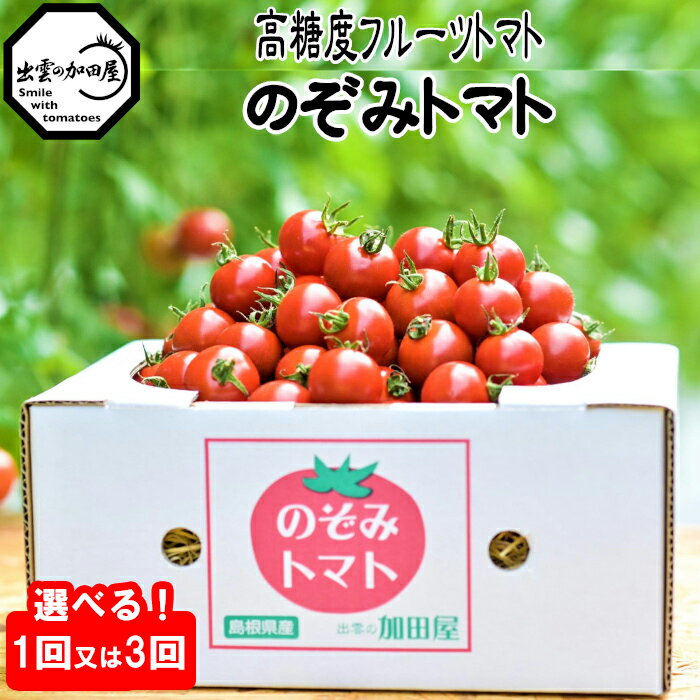 【ふるさと納税】＼お届け回数が選べる／高糖度フルーツトマト糖度8以上 | 1回お届け 3回定期便中玉 フルティカ ミニトマト のぞみトマト 出雲の加田屋 野菜 完熟