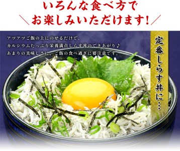 a10-807　甲羅組 天然 釜揚げしらす 約500g 2袋 合計 約1kg