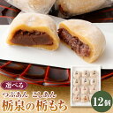 【ふるさと納税】但馬菓子処 総本家 栃泉の栃もち こしあん または つぶあん 12個 こしあん&つぶあん ミックス 各6個 冷凍 栃もち とち餅 栃餅 お餅 おもち 和菓子 スイーツ 和スイーツ【配送不可地域：離島】【1373573】【1373613】【1344843】兵庫県 新温泉町 送料無料