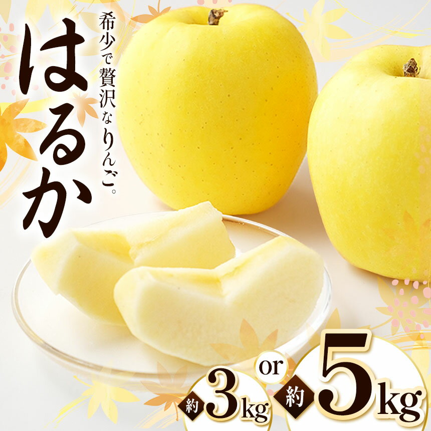 【ふるさと納税】【2025年先行予約】浅野農園 はるか 3kg ・ 5kg｜ リンゴ りんご 林檎 果物 くだもの フルーツ 果実 果汁 はるか 長野県 松川村 信州 北アルプス
