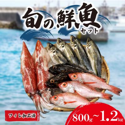 ふるさと納税 下関市 旬 鮮魚 ボックス フィレ加工済 800g~1.2kg 詰め合わせ 刺身 下関 山口 IA101-f