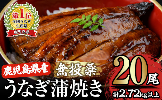 
2122 【無投薬にこだわったうなぎ】鹿児島県産うなぎ蒲焼20尾【国産】
