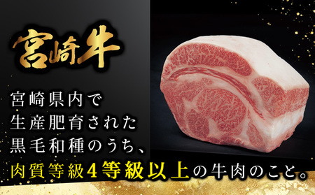 宮崎牛 モモステーキ 計500ｇ（100g×5）_K030-004