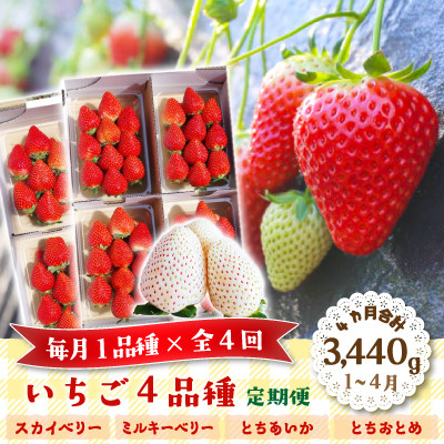 【発送月固定定期便】澳原いちご農園のいちご4品種お届け (毎月1品種)全4回【配送不可地域：離島・沖縄】【4061008】