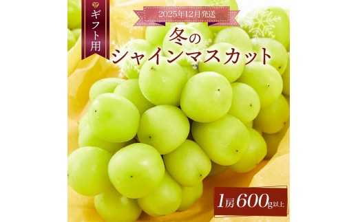 ＜2025年12月発送＞【ギフト】岡山県産 冬のシャインマスカット 1房 600g以上 [025-a032]
