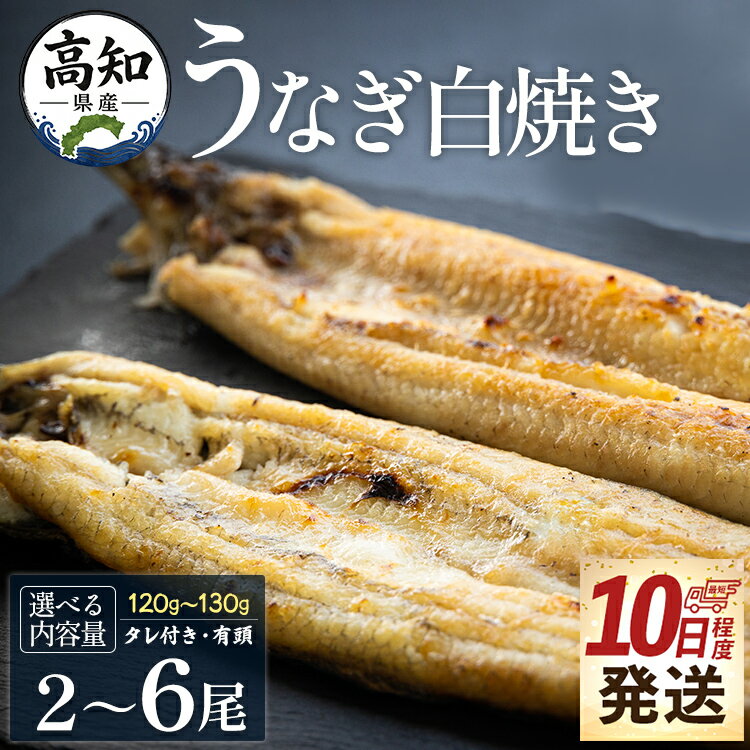 【ふるさと納税】【10日程度で発送】【選べる内容量】高知県産 うなぎ 白焼き(120〜130g) 蒲焼きのタレ付 エコ包装 （選べる：2尾〜6尾） - お中元 鰻 ウナギ 有頭 つまみ 蒲焼きのたれ タレ個包装 真空パック うな丼 ウナ丼 父の日 国産 吉川水産 高知県 香南市【冷凍】