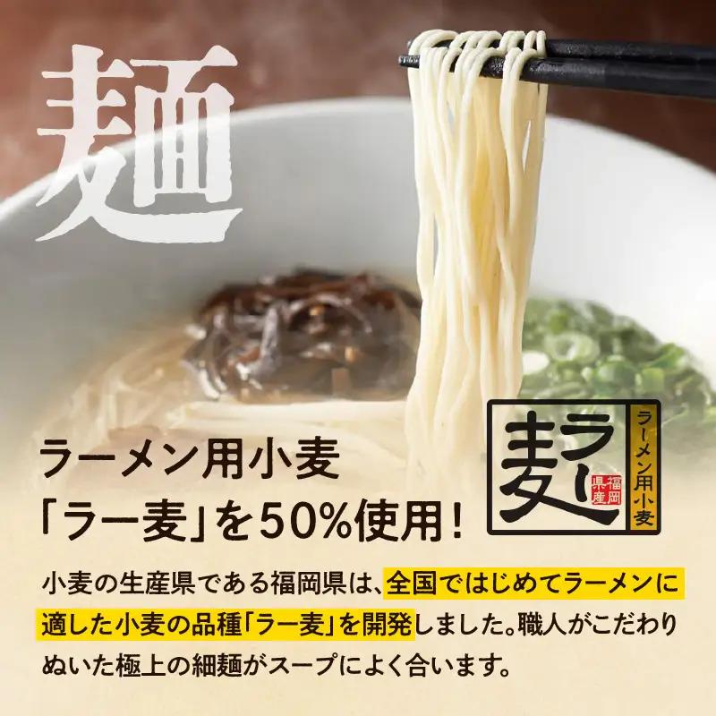 一風堂白丸ラー麦麺セット（20食） ラーメン とんこつ 豚骨 豚骨スープ ストレート麺 ラー麦 本格 福岡 ご当地 お取り寄せ 072-330