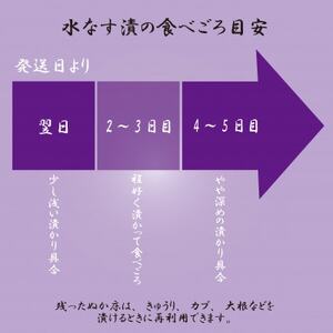【大阪・泉州特産】和泉市　西清特撰「和泉小町」水なす漬　8個入【配送不可地域：離島】【1643969】
