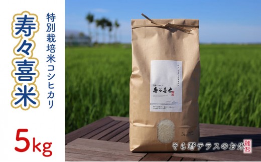 
                  特別栽培米コシヒカリ 寿々喜米 5kg（精米） 特別栽培米 コシヒカリ 米 お米 こめ コメ おこめ 新潟 
                