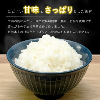 【令和7年産】精米 ヘルジアンウッド米 10kg 富山県産コシヒカリ