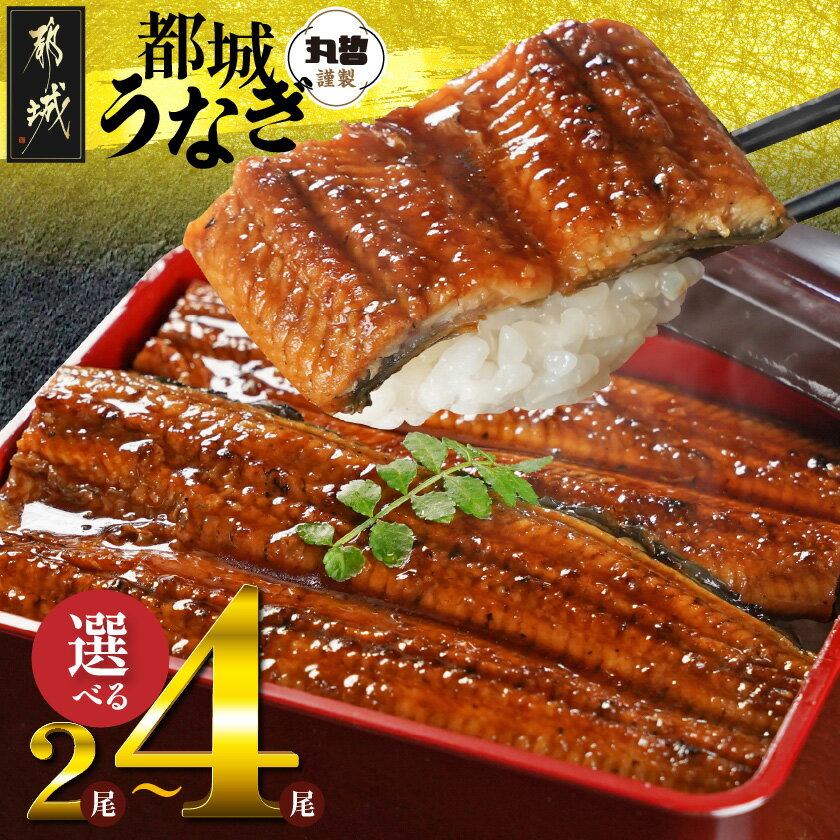 【ふるさと納税】《レビューキャンペーン実施中！》【内容量が選べる！】宮崎県育ちのうなぎ蒲焼≪山椒・たれ付≫ - 真空パック 選べる内容量 2尾/3尾/4尾 個包装 お中元 敬老の日 お歳暮 年内お届け 送料無料 SKU-M301 【宮崎県都城市】