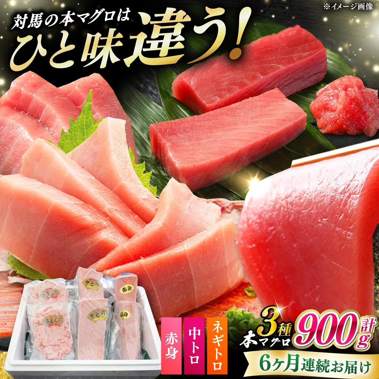 【全6回定期便】 対馬産 本マグロ 3種 計900g（赤身/中トロ/ネギトロ）[WAH041] マグロ まぐろ トロ