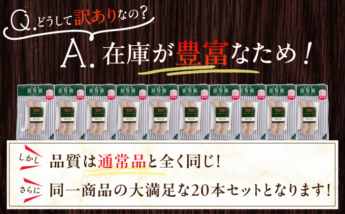【全2回定期便】【訳あり】【結着剤・発色剤・保存料不使用】 放牧豚 サルシッチャ 2本x10セット（90g/パック） 《厚真町》【ファーマーズファクトリー株式会社】 訳あり ソーセージ ウインナー 冷