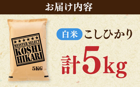 令和7年産 こしひかり 白米 5kg / 五つ星お米マイスター厳選 お米 ふるさと納税 A評価 / 佐賀県 / 大塚米穀店 [41ANAD035]